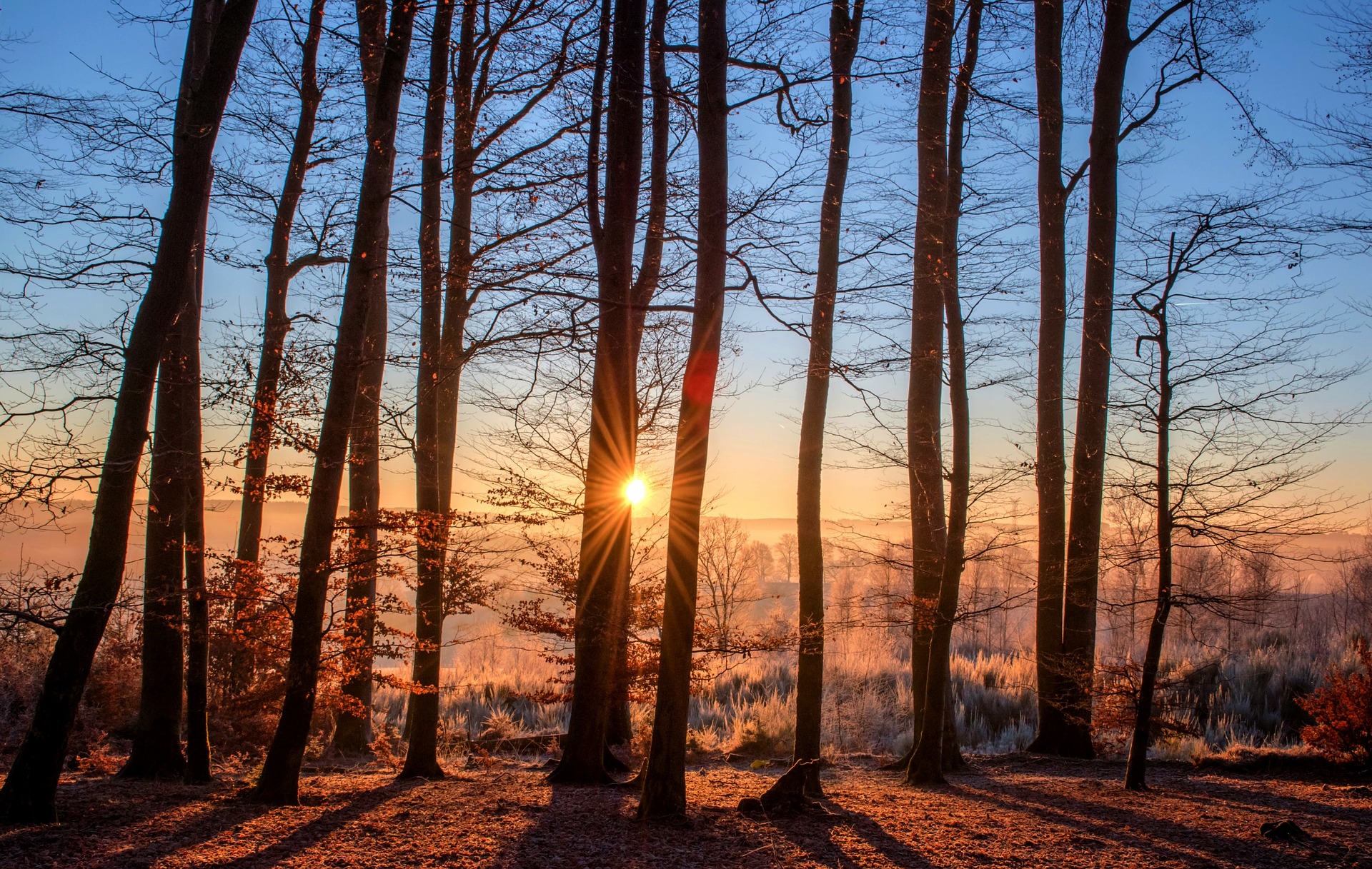 syksyinen maisema auringonpaiste